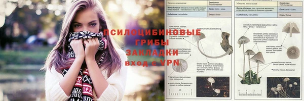 СК Балабаново