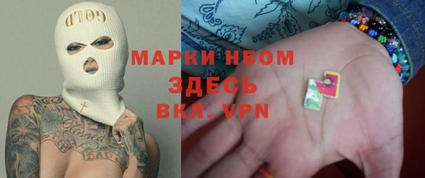 индика Баксан