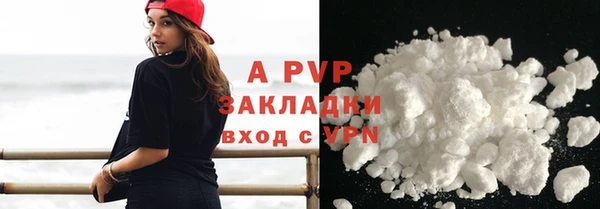 индика Баксан