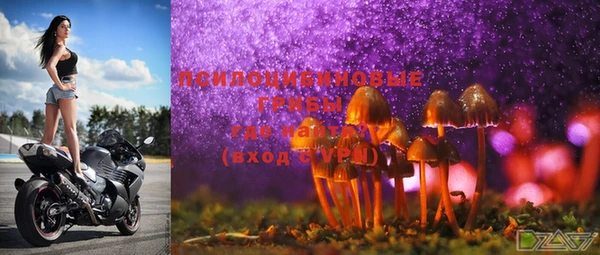 индика Баксан