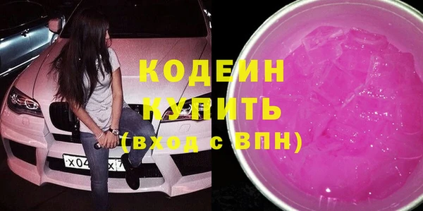 индика Баксан