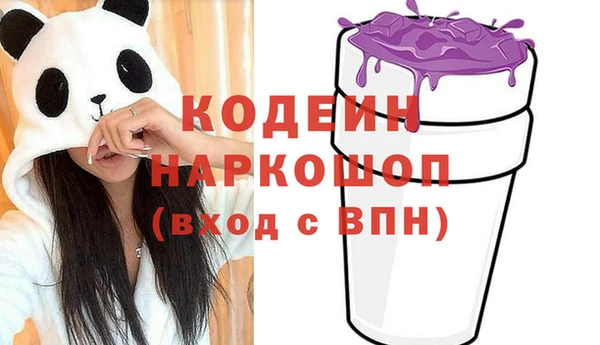 молекула духа Балахна